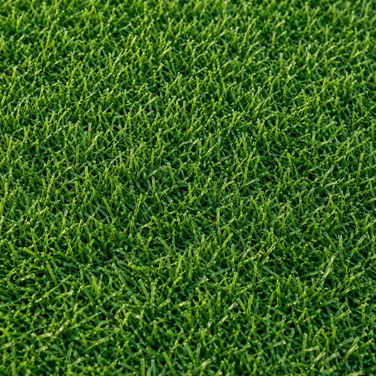 pasto-sintetico-recreativo-bali