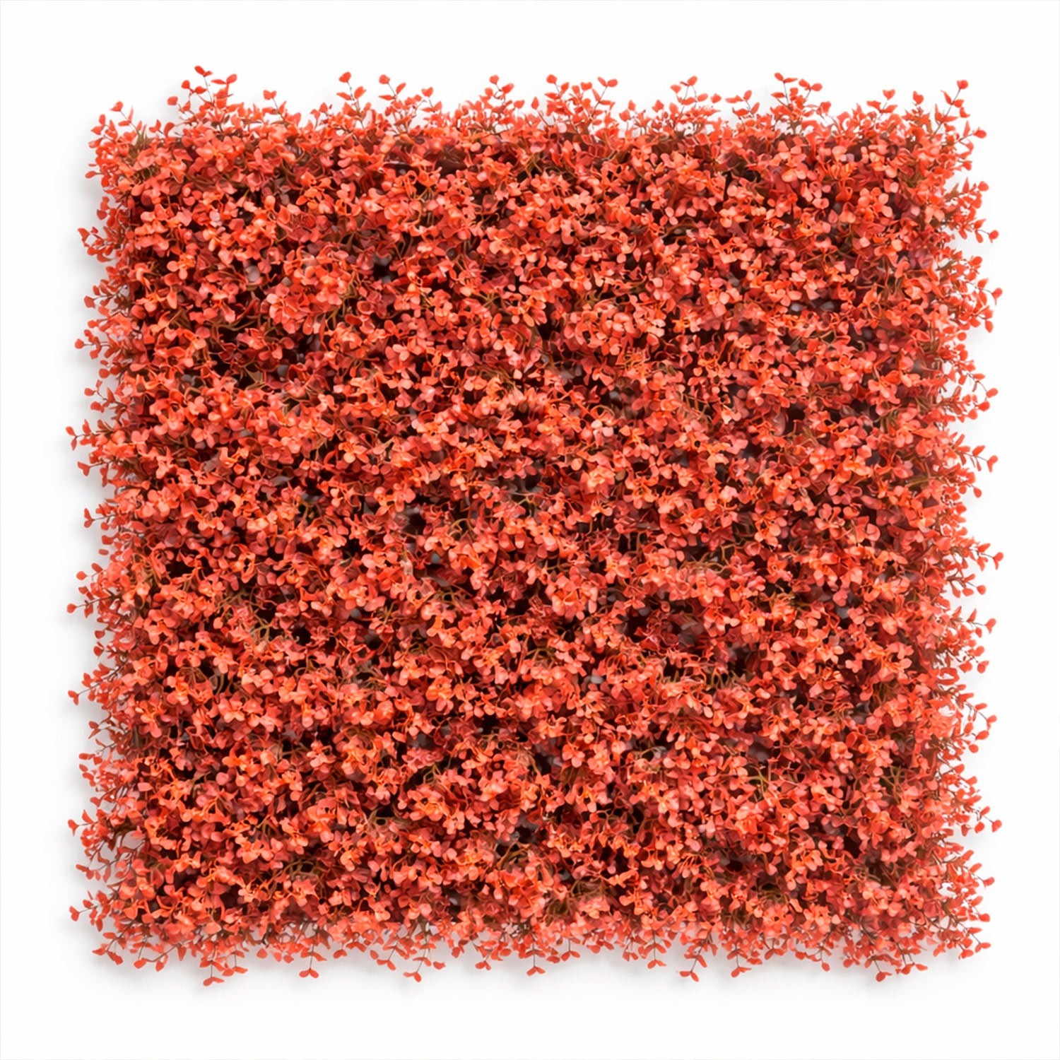 follaje-arrayan-rojo